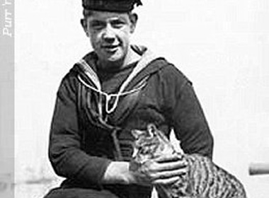 cat-and-sailor cat-and-sailor